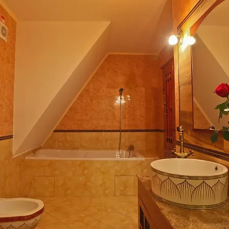 Rubezahl-marienbad Luxury Historical Castle & Golf-castle Collection ホテル 5*
